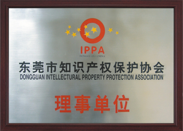東莞知識(shí)產(chǎn)權(quán)保護(hù)協(xié)會(huì)