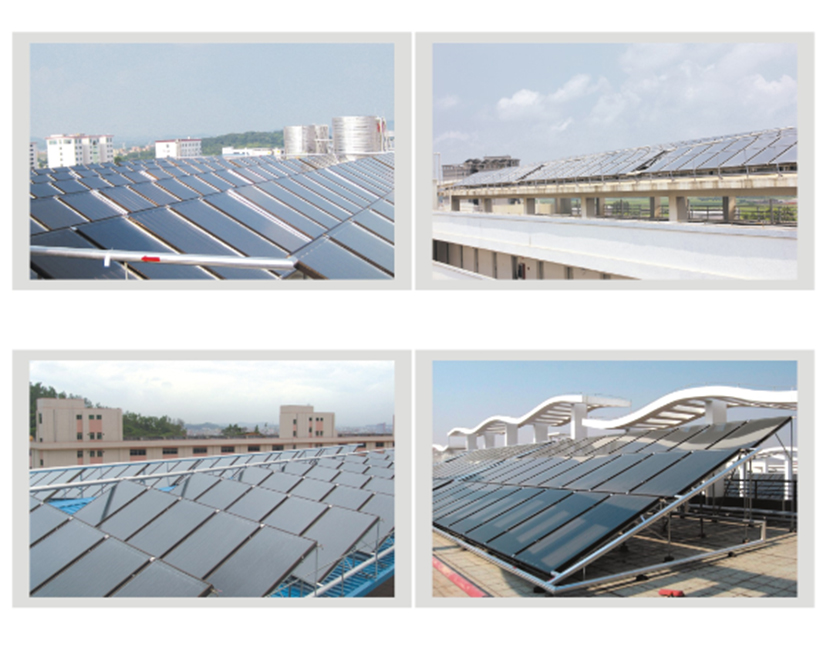 5e04615db7d21.jpg thrtgio.jpg